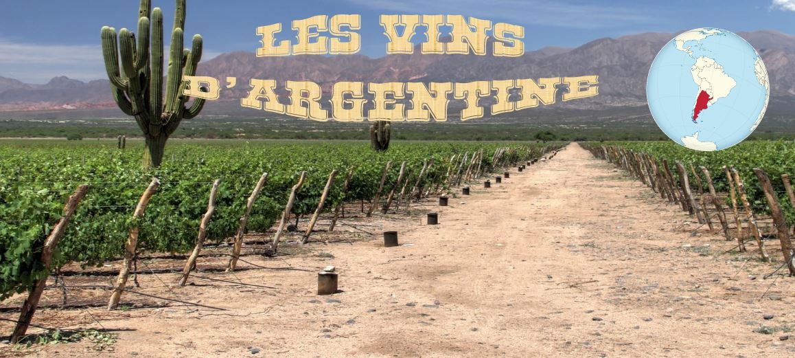 Les vins d argentine