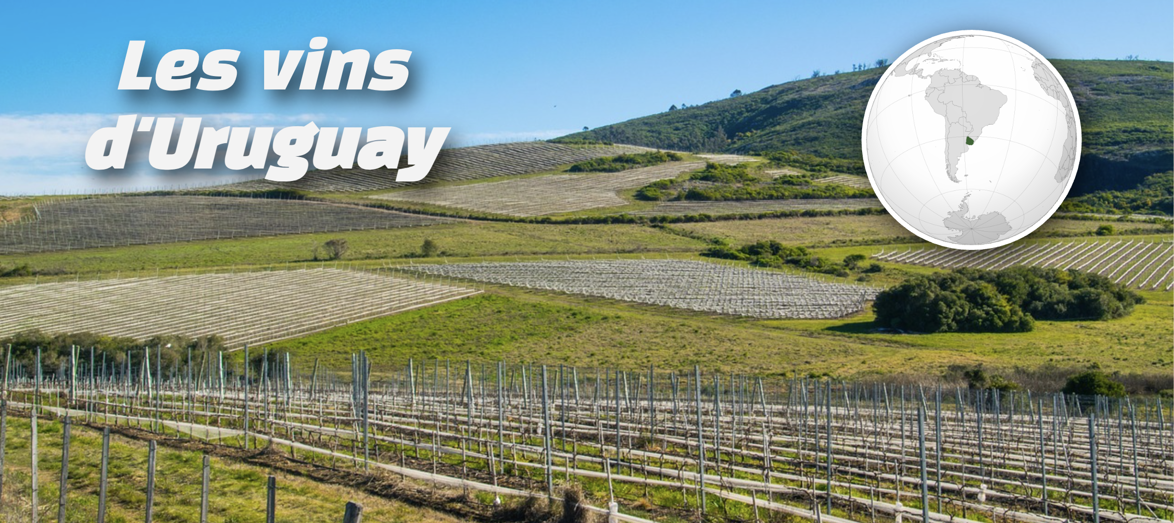 bandeau Uruguay 2025