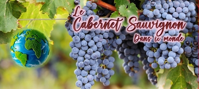 Bandeau Cabernet Sauvignon small